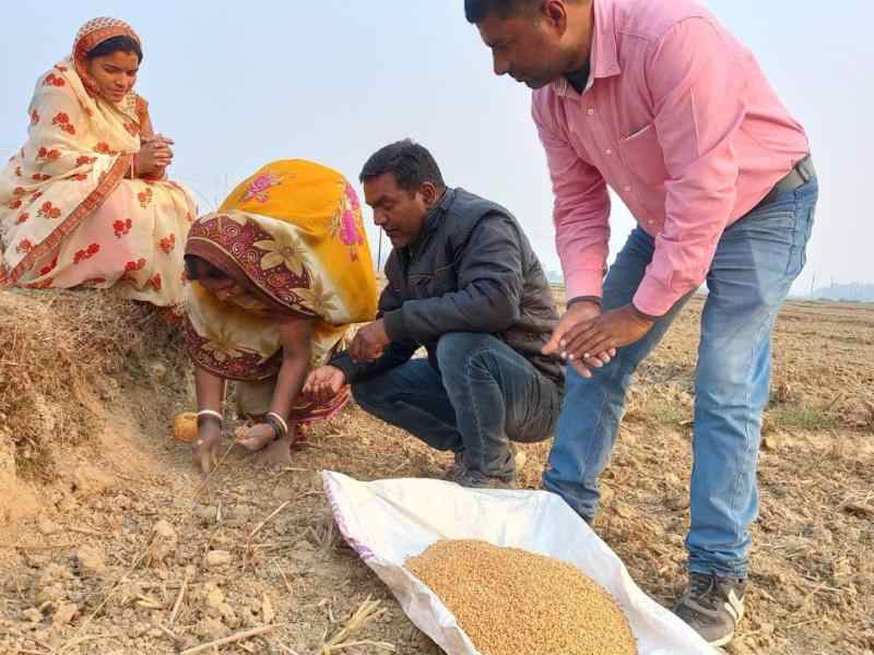 SEEDS team checking the harvest.