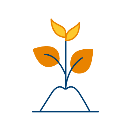 Growing plant